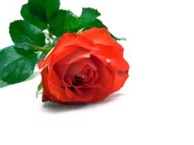 48ee09c7cf13ae443e797cd16dd40a3d1ba753ef-large