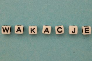 Rozszerzenie wniosku o zwolnienie z opłacenia składek za wskazany miesiąc (RWS)