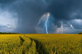 Dzierżawa gruntu rolnego pod działalność gospodarczą. Jak rozliczyć PIT, VAT i nakłady inwestycyjne dzierżawcy?