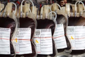 Dwa dni płatnego zwolnienia dla honorowych dawców krwi – wynagrodzenie, dokumentacja