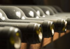 Stare znaki akcyzy na wyroby winiarskie dłużej ważne