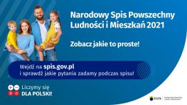 Narodowy spis powszechny