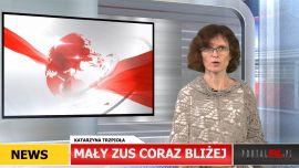 maly zus coraz bliżej