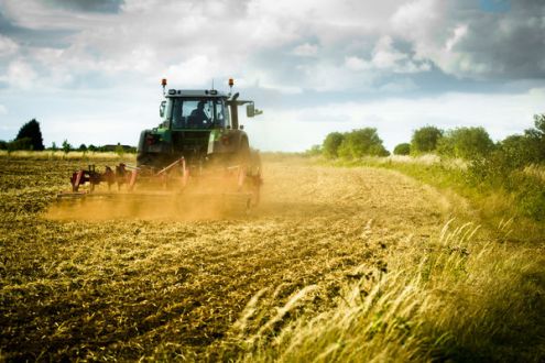 Znana jest już stawka, która będzie przysługiwać producentom rolnym przy ubieganiu się o zwrot akcyzy za paliwo rolnicze w 2025 roku. 