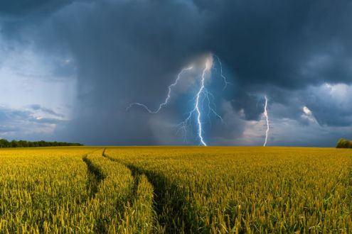 Dzierżawa gruntu rolnego pod działalność gospodarczą. Jak rozliczyć PIT, VAT i nakłady inwestycyjne dzierżawcy?