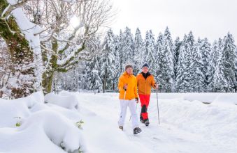   Tak orzekł TSUE w wyroku z 29 czerwca 2023 r. w sprawie polskiej spółki, która toczyła swój spór z fiskusem od kwietnia 2017 roku.